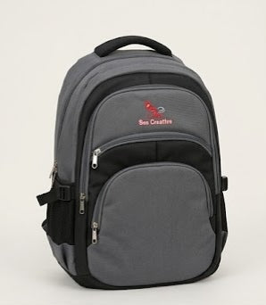 COLLEGE/OFFICE BAGS – CREATIVE